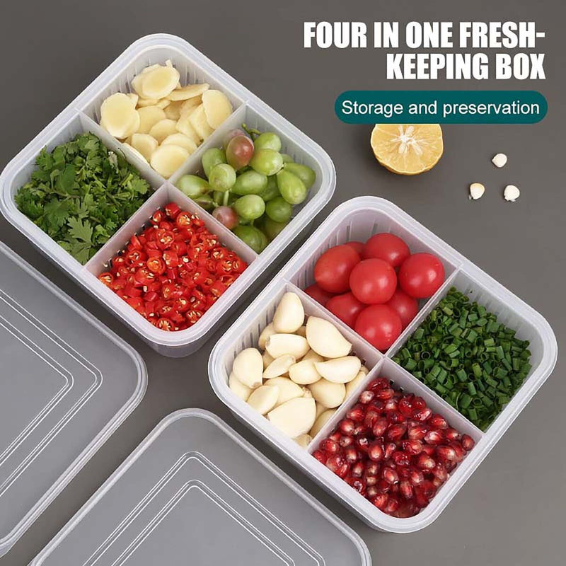 Food Storage - Fridge Divided Container to Storing Chopped Green Onion Garlic