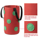 Hanging Strawberry Planter 2pcs Upside-Down Vegetable Glow Bag for House Garden