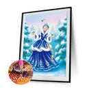 Woman and bird in the snow 5D DIY Partial Special Shape Drill (KA096 ) Newly