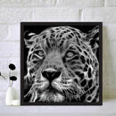 5D Diamond Painting tiger DIY Round Drill Mosaic Newly
