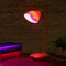 Universal Turning E26/E27 Flexible Desk Lamp LED Light Holder Base (Red) Newly
