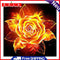 Flames Rose Frameless Picture Oil Paint By Numbers Hand Painted Picture Kit