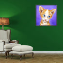 5D Diamond Painting Kit DIY Cute Cat Full Round Drill Mosaic Picture Wall Dec
