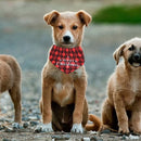 Christmas Pattern Dog Kerchief Saliva Towel Pet Jewelry Grooming Accessories