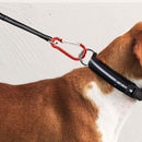 10pcs Spring Aluminum Backpack Carabiner Hiking Camping Hang Holder Clip Buck