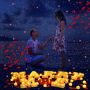 22cm MERRY ME LED light proposal LED decorative light