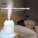 Mini Air Humidifier USB Diffuser for Home Car Sprayer Mist Maker (White)