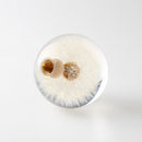 70MM Head Crystal Ball Dandelion Real Flowers Shift Knob Universal Shift Head