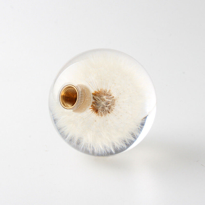 70MM Head Crystal Ball Dandelion Real Flowers Shift Knob Universal Shift Head
