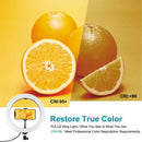 Dimmable Vlogging 10.2 inch 26cm RGBWW Selfie Lamp Ring Video Light Kit