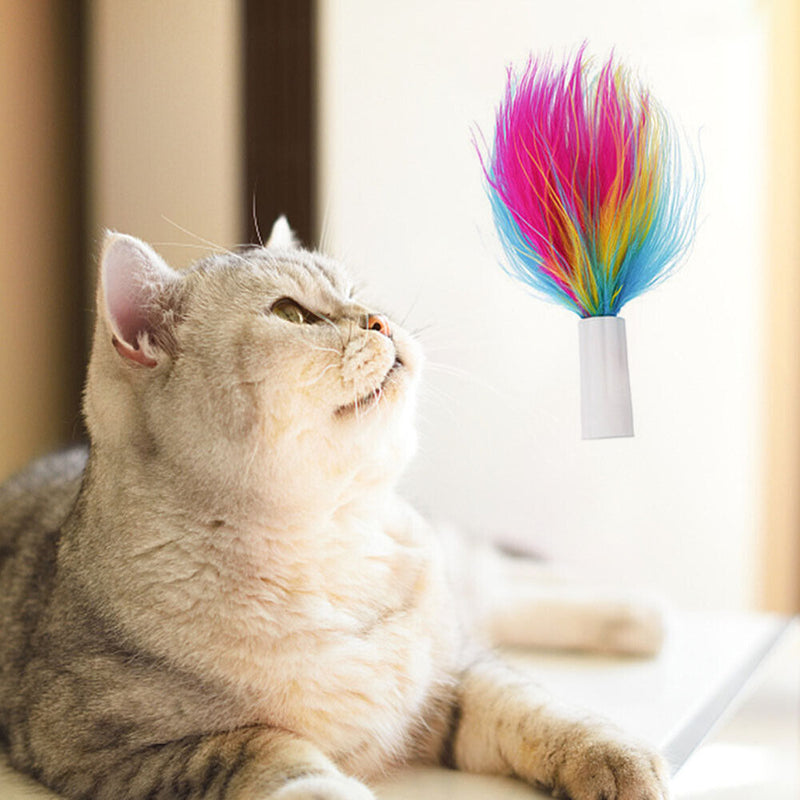 Auto Stick Feathers Replacement Head Interactive Electric Cat Toys (3pcs)