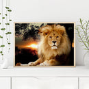Lion Oil Paint By Numbers Canvas Drawing DIY Coloring Picture for Adults Child