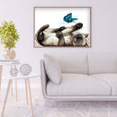 Diamond Kit Painting Round DIY Rhinestone Picture Full Drill Cat Butterfly 5D