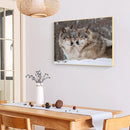 Full Embroidery Snow Wolf 3-Beach 11CT Printed Cross Stitch Cotton DIY Kit