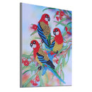 5D DIY Special Shaped Diamond Painting Parrot Cross Stitch Embroidery Kits