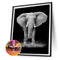 DIY Diamond Painting Kits Elephant Full Square Drill Wall Decoration Crafts