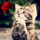 5D DIY Diamond Painting Kits Full Round Drill Cat Rose Mosaic Picture (E1746)