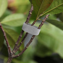 Colorful Nylon Bandage Tie Garden Plant Shape Tape Nylon Bandage (Grey)