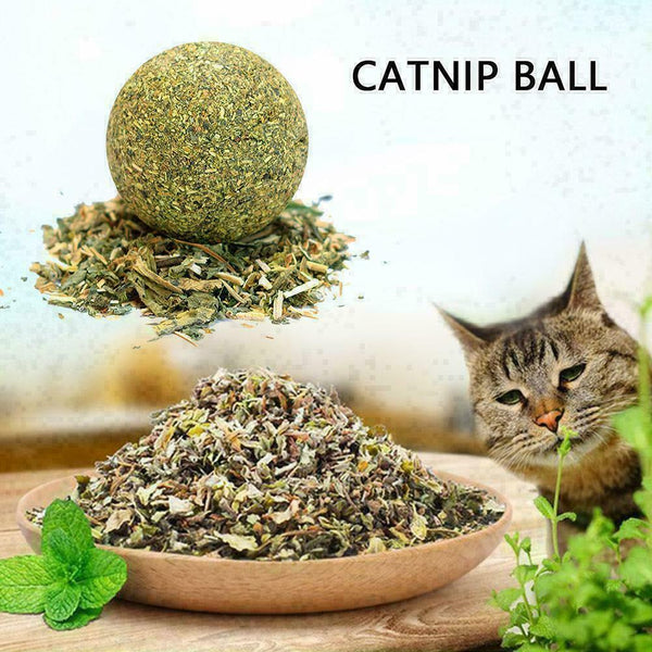 Cat Snack Catnip Ball Lick Nutrition Ball Help Digestion Q1I0 O2U2 H0D7