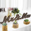 Wooden Potted Ornament Desktop Flowers Bonsai Candle Holder (JM01788) Newly