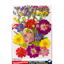 Dried Flower Material Package Real Pressed Dry Flowers & Leaves (Colour) Newly