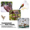 Plastic Window Bird Feeder, Transparent, Suction Cup, House Shape Birdfeeders