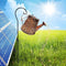 LED Solar Watering Can Lamp Garden Art Metal Iron Kettle Light (C Hook Up)