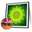 5D Full Round Drill Drawing Picture Datura Diamond Painting Living Room Ornament