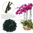 Clamping Plant Clips Gardening Tool Vine Support Bundle Orchid Stem Clip