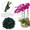 Clamping Plant Clips Gardening Tool Vine Support Bundle Orchid Stem Clip