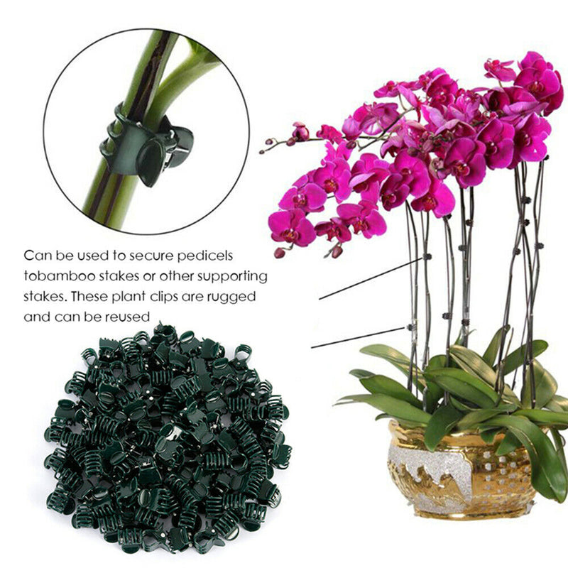 Clamping Plant Clips Gardening Tool Vine Support Bundle Orchid Stem Clip