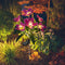 2x LED Solar Garden Orchid Light Waterproof Landscape Fence Decor (Purple) Newly