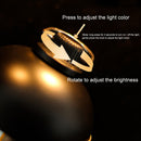 Mini Hanging USB Camping Lantern Stepless Dimming for Garden Decoration