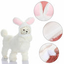 Birthday Photo Funny Easter Pets Cats Rabbit Hat Bunny Hat Easter Cap Dogs
