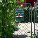 Metal Tin Sign Plaque Dog Animal Home Decor Living Room Iron Art Posters