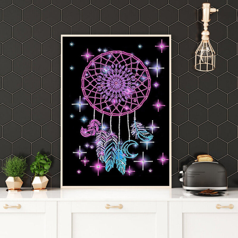5D DIY Dreamcat Partial Special Shape Diamond Painting Art Drawing MX123 Newly