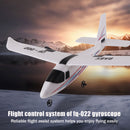 2.4ghz 2ch Rc Airplane Built-in Gyro Remote Control Airplane Epp Foam Kids