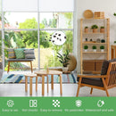 Window Fly Traps Fly Strip Fly Catcher Trap Fly Sticky Traps Sticky Fly Traps