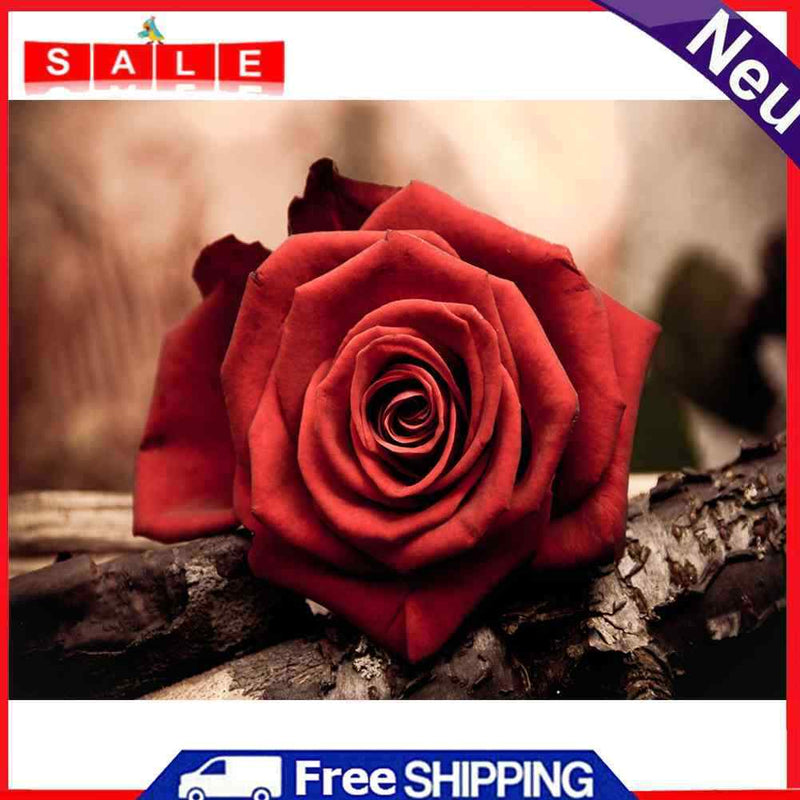 5D DIY Diamond Painting Red Rose Full Round Drill Mosaic Art Picture Rhinestone