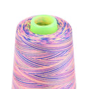 Rainbow Cross Stitch Sewing Threads Textile Yarn Woven Embroidery Line(B) Newly