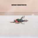 2x LEO Topwater False Bait with Fishhook Fishing Lure Bionic Insect Fly Jig