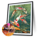 5D Diamond Painting Kit DIY Koi Full Round Drill Home Decoration