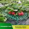 Strawberry Stand Frame Balcony Vegetable Holder Planting Racks (10pcs) Newly