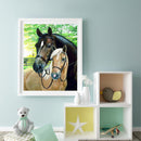 Fine Horse Oil Paint By Numbers Kit DIY Frameless Drawing Picture for Adults