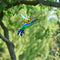 Metal Hummingbird Wall Decor - Outdoor Indoor Hanging Wall Art Set of 4
