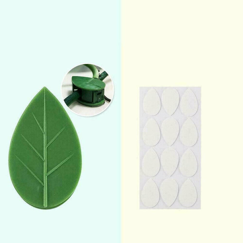 10PCS Invisible Wall Vines Fixture Sticky Hook Clip Ties Plant Climbing S8Z6