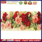 Rose Oil Paint By Numbers DIY Canvas Wall Art Picture Craft Home Decoration Gift