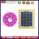 Solar SMD 2835 LED Plant Grow Light Strip Full Spectrum 5V 5W Growing Phyto