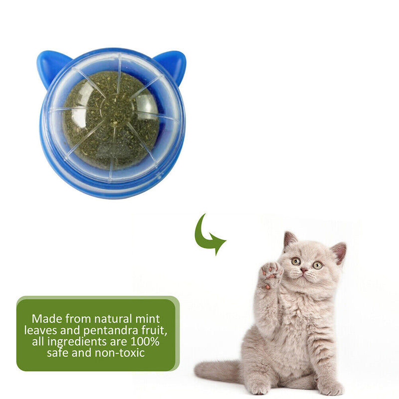 Catnip Ball Pets Cat Toys Rotatable Licking Balls Kitten Teeth Chewing Clea