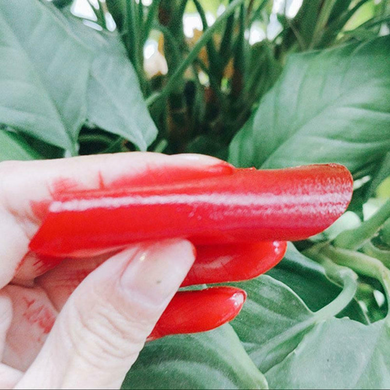 12 pieces Chinese Retro Lipstick Paper Lipsticks Rouge Easy Color D9E6